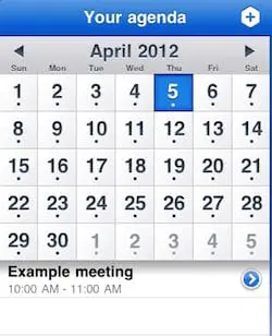 iPad Calendar app
