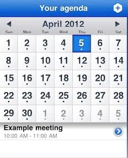 iPad Calendar app