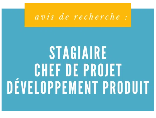 CHEF DE PROJET -